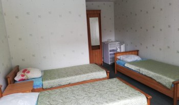 чайка43